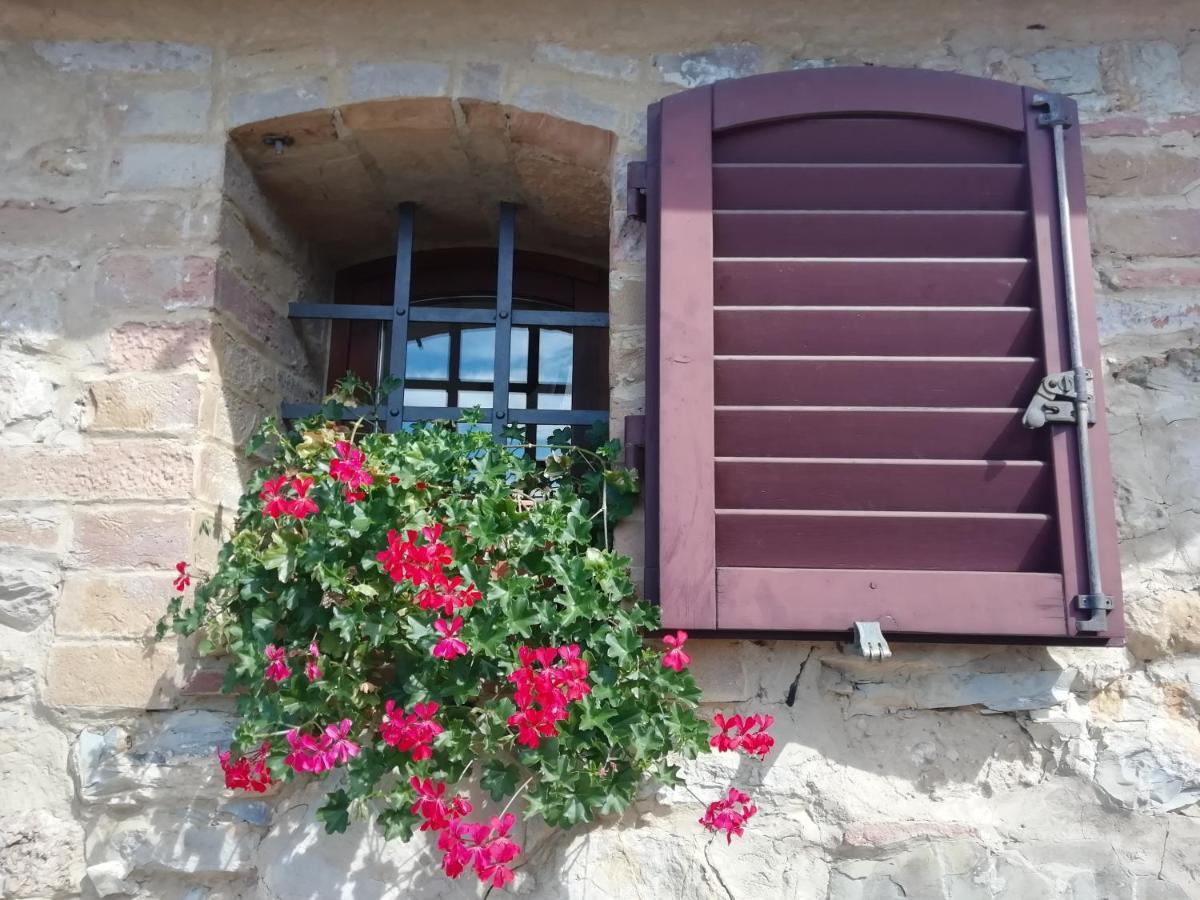 Poggio Massiccioli Daire Poggibonsi Dış mekan fotoğraf